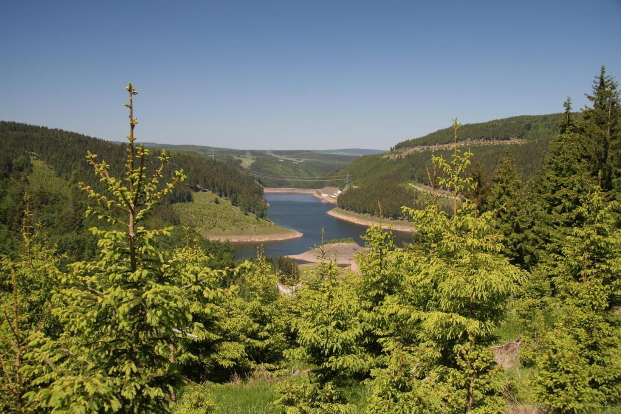 Ferienhaus Waldblick Siegmundsburg Екстериор снимка